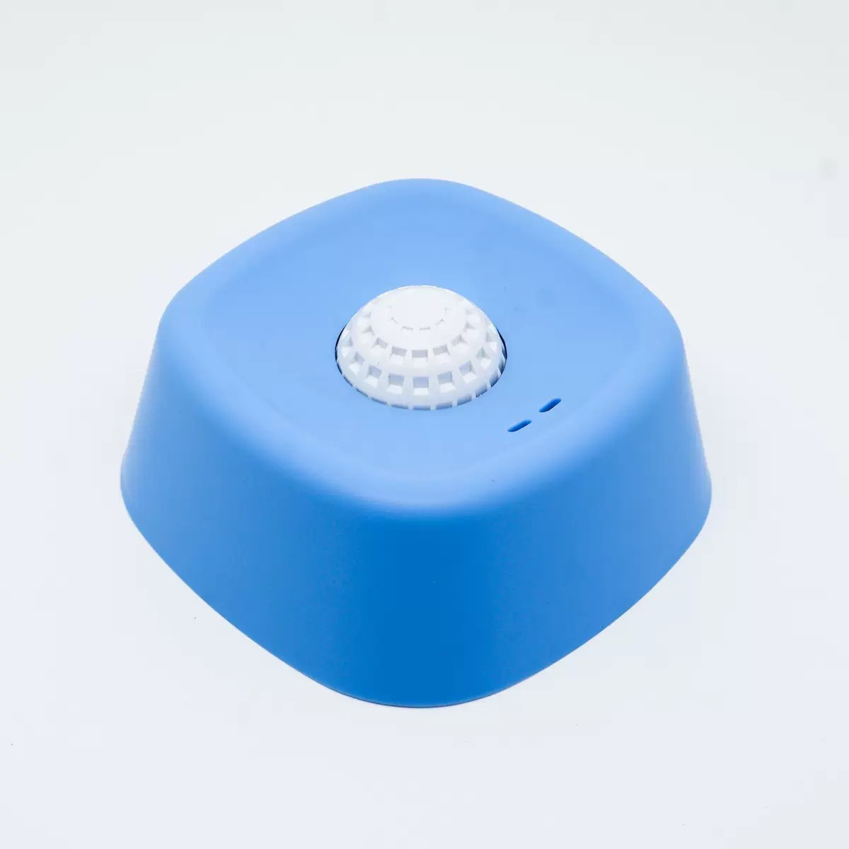 🐶 No-Spill Pet Bowl – Raised Edge Food & Water Bowl for Dogs & Cats 💧
