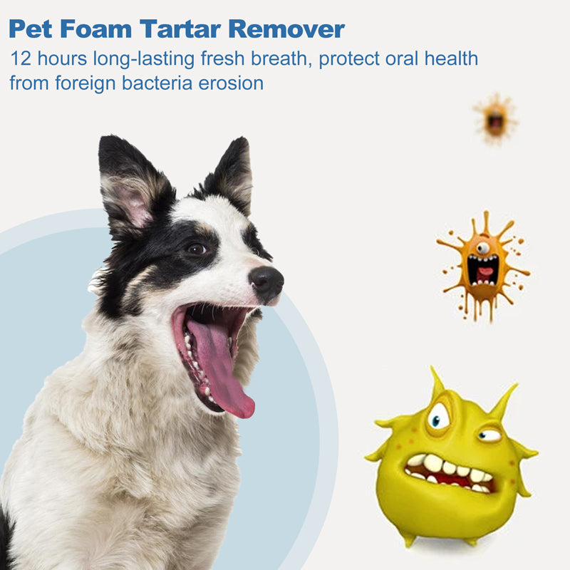 PET ORAL TARTAR REMOVER