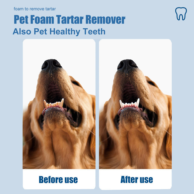 PET ORAL TARTAR REMOVER