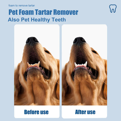 PET ORAL TARTAR REMOVER