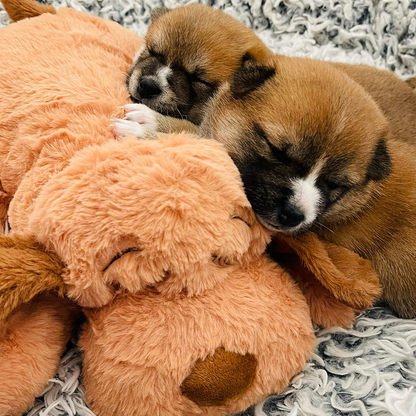 Heartbeat Comfort Plush — Calming Sleep Companion for Puppies & Dogs