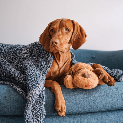 Heartbeat Comfort Plush — Calming Sleep Companion for Puppies & Dogs