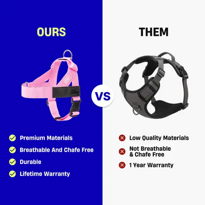 🐶 Adjustable No-Pull Dog Harness – Secure, Comfortable & Walk-Ready 🐾