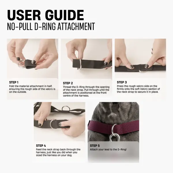 🐶 Adjustable No-Pull Dog Harness – Secure, Comfortable & Walk-Ready 🐾