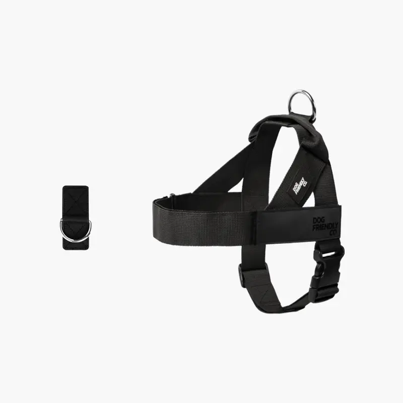 🐶 Adjustable No-Pull Dog Harness – Secure, Comfortable & Walk-Ready 🐾