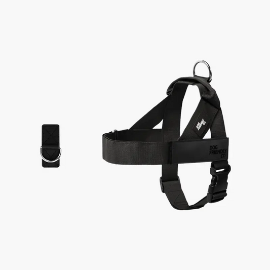 🐶 Adjustable No-Pull Dog Harness – Secure, Comfortable & Walk-Ready 🐾