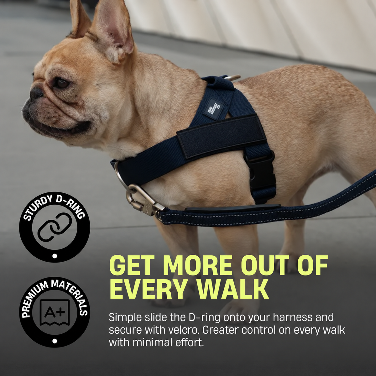 🐶 Adjustable No-Pull Dog Harness – Secure, Comfortable & Walk-Ready 🐾